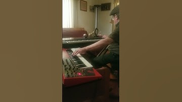 Arcade Funk 🕹️🎮🍷 👀 👉 thefullerzone.com 👈 💥📖🌐 Flash Fiction daily 515+ #piano #synth #funk #fun 🎹🙃🔮🌻🥳