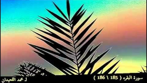 سورة البقرة للقارئ محمد اللحيدان من الآية 185/186