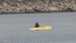 Nikon Coolpix A1000 Super-Zoom Pocket Camera Videophoto Samples 4K