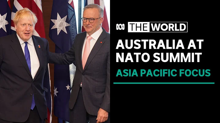 Madrid NATO summit "the most important yet" for the Asia Pacific | The World - DayDayNews