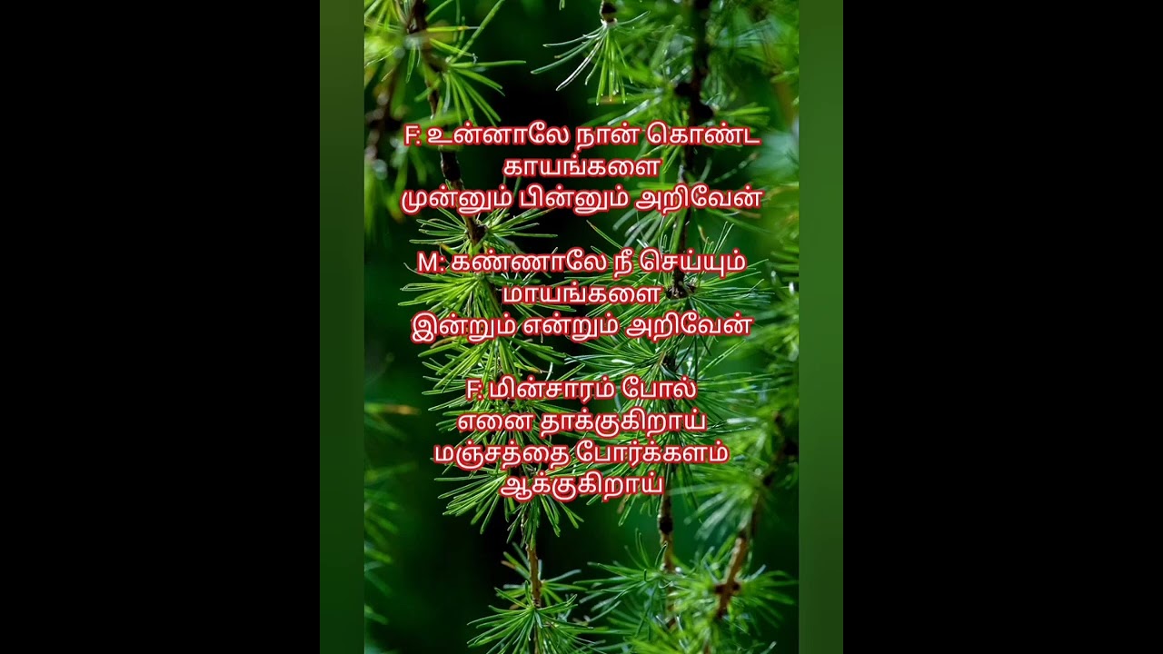 Sorgathin Vaasarpadi Karaoke Track for Female by Ramamoorthy60 voice of 20