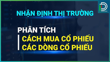 Nhận định thị trường - Phân tích cách mua cổ phiếu - Phân tích các dòng cổ phiếu