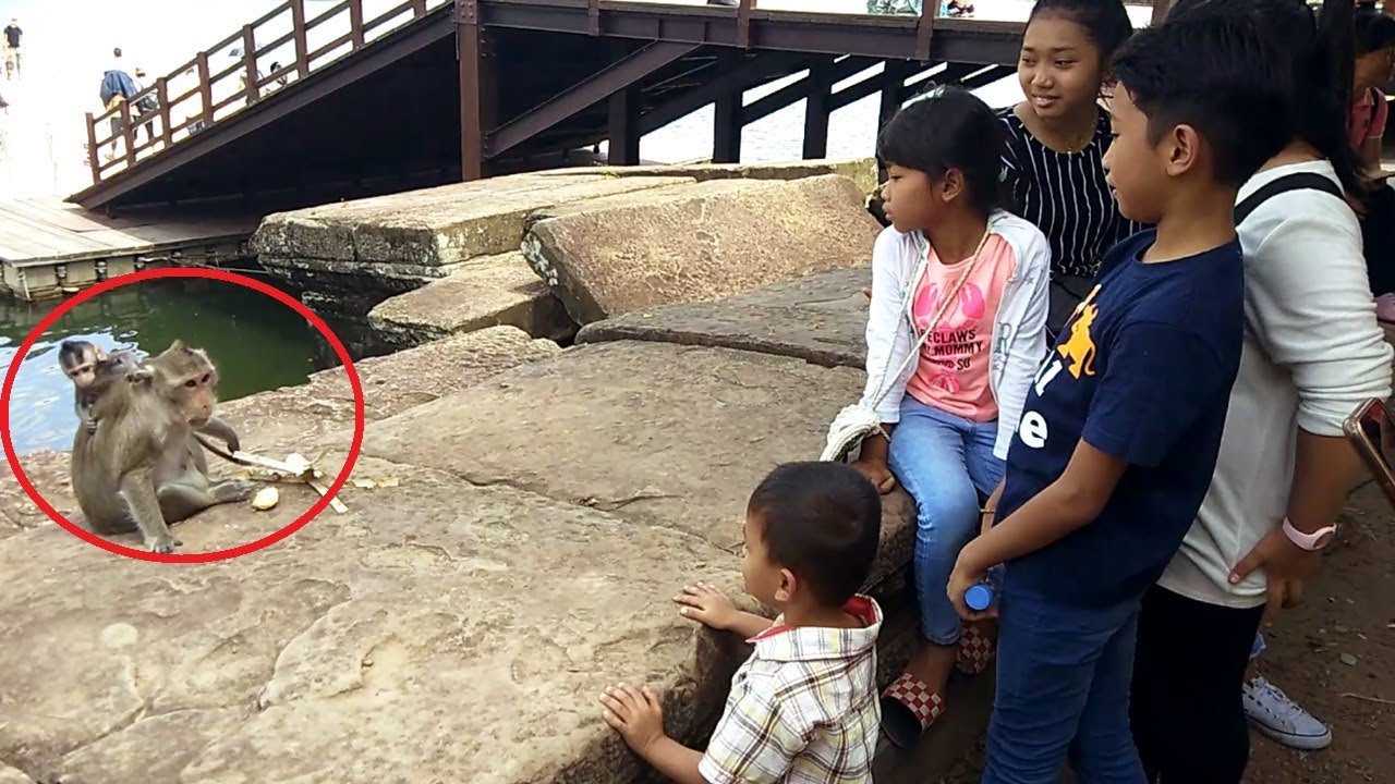 foundry Lovely Baby And Protective Mom Asking For Food In The Crowded