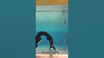 Testing Autonomous Underwater Vehicles and Robot Arms