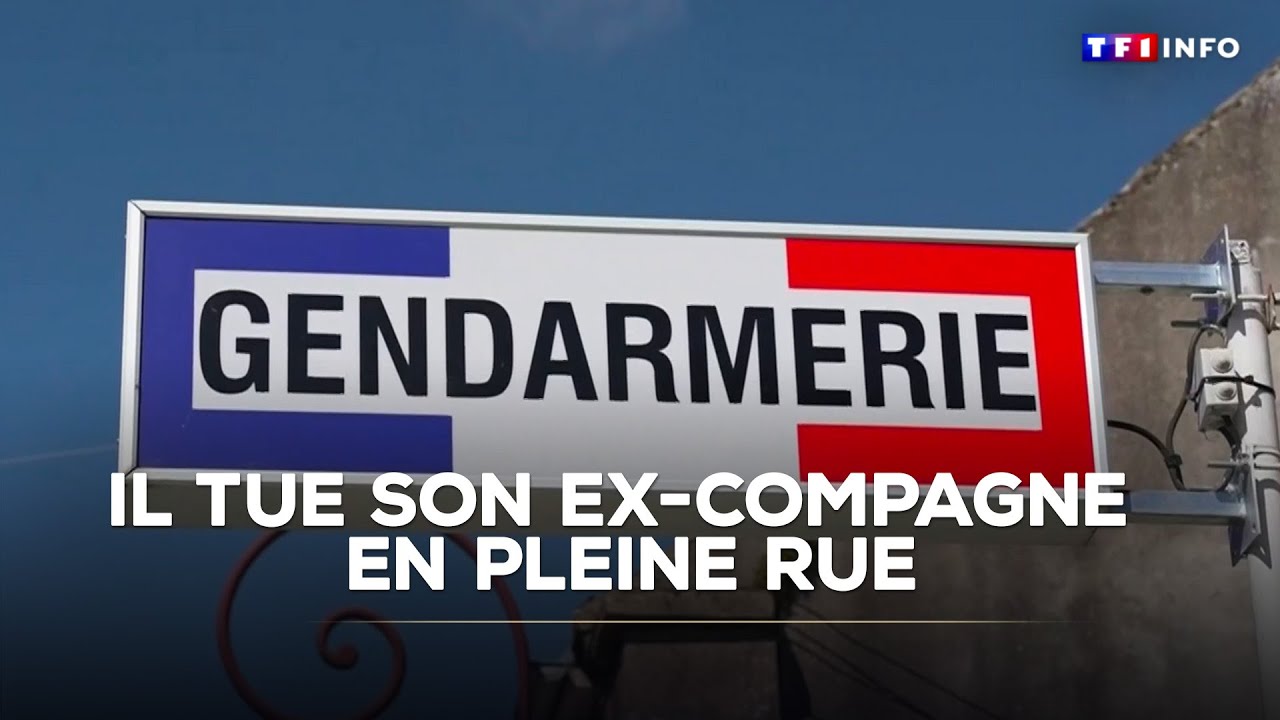 Il tue son ex-compagne en pleine rue avant d'être abattu par un gendarme｜TF1 INFO