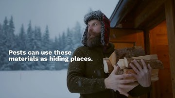 Deterring Pests from Your Firewood Stack: DIY Tips for a Clean Supply