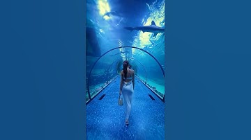 Best places on the earth part 7 #nature #explore #travel #shorts #ytshorts #trending