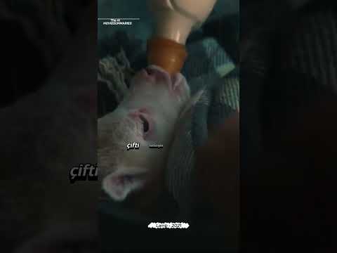 ผลสลากกินแบ่งรัฐบาล วันที่ 1 พย. 2567