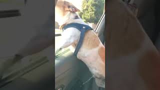 You ever had a bad day like this???