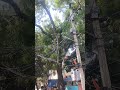 #youtubeshorts #ytshorts #shortvideo #reels