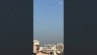 Sky filled with Kites on Makar Sankranti