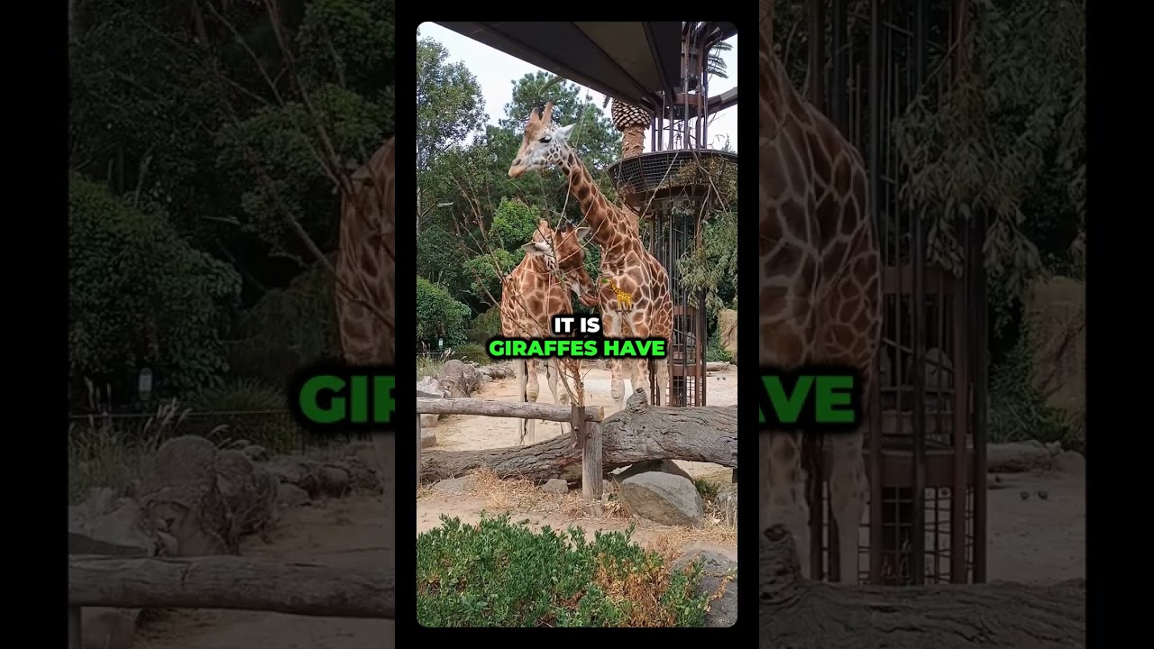 Your spine is stronger, smarter, and more connected than you realize......