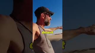 Dune Surfing in the Sahara