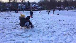 Sledding In Roundwood Park
