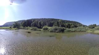 Libellley 360°