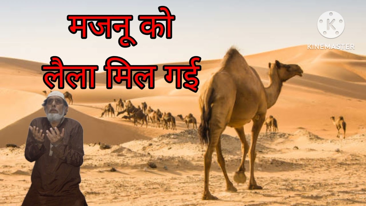 मजनू को लैला मिल गई | Writer and Reader Hussain Bhagalpuri ✍️