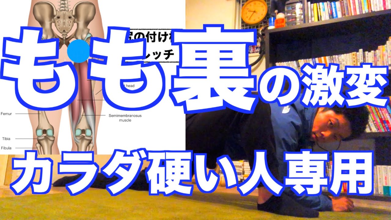 【太もも裏側　硬すぎる人専用】たったの５分間！太ももの裏側が劇的に柔らかくなるストレッチ特集【ハムストリングスのストレッチ】