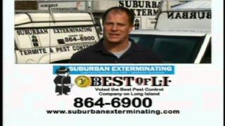 Pest Control Professionals on Long Island