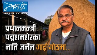 प्रधानमन्त्री पद्मशमशेरका नाति जर्नेल गाई गोठमा...  [ The Nepal today ] Agriculture in Nepal