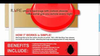 Trap For Bed Bugs