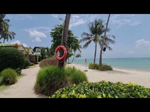 Nice Resort to stay in Koh Phangan Island || Thailand || Phangan Beach Resort || Mads Travel Vlog