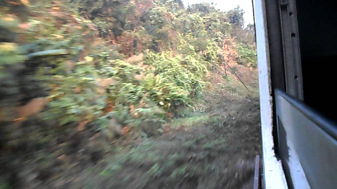 ขบวน51 ปางต้นผึ้ง-อุโมงปางตูบขอบ เขาพลึง ห้วยไร่