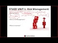 Risk Management Theory and Process for RSK3701 - Basic fundamentals of risk management