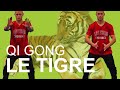 LE TIGRE (WUDAN SHAN DAO YIN) - Tai Chi / Qi Gong Reims