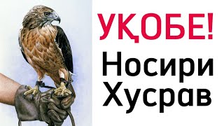 УҚОБЕ! - НОСИРИ ХУСРАВ! Ок,ибати такаббур! (Кибр)