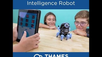 KAI - The Artificial Intelligence Robot