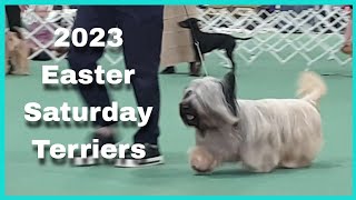 2023 Easter Saturday PM Show  Terriers