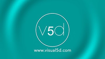 visual 5d: Construction and Site logistic animations, 2020 Showreel (US) www.visual5d.com