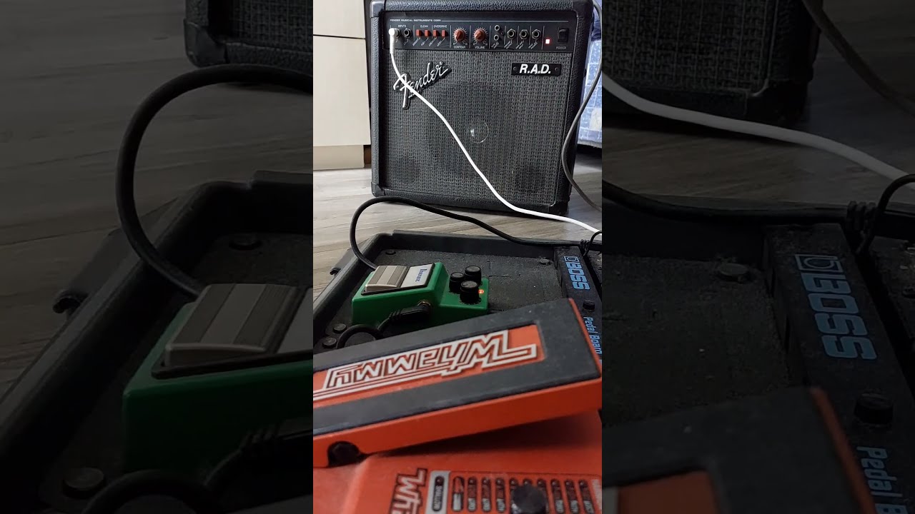 Fender USA  R.A.D. アンプ 75W RAD Bass - Fender RAD Bass - Audiofanzine
