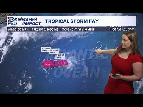 Tropical Storm Fay reforms as another area shows high promise for tropical development (11 AM Tropic