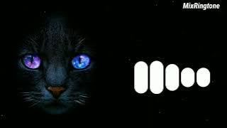 Senorita Iphone Ringtone | Iphone Ringtone Remix | Download Link ⬇️⬇️