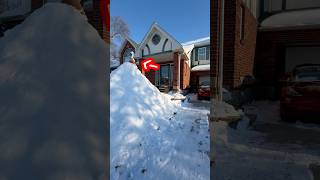 Guard Goose! #cars #automobile #driveway #snow #guarddog #security #tesla #winter #driving #shorts
