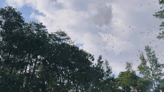 Baguio City POV~ 2026 (Full 3d2n)