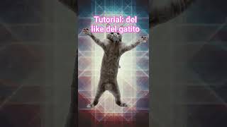 #dancing #cute#cat