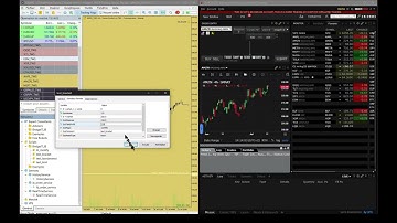 Bridgeit ib - Mt5 Ibkr Bridge.