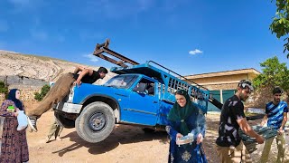 🆕💒"Milad and Mahin: Starting Their Dream Home After Years of Planning!"