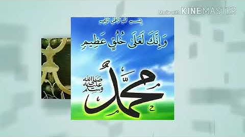 سورة تهتز له القلوب من صلاة التروايح القارئ وفيق العمري 😗😙😙😙😙😚😗😗😗😍😍😍😍❤❤❤