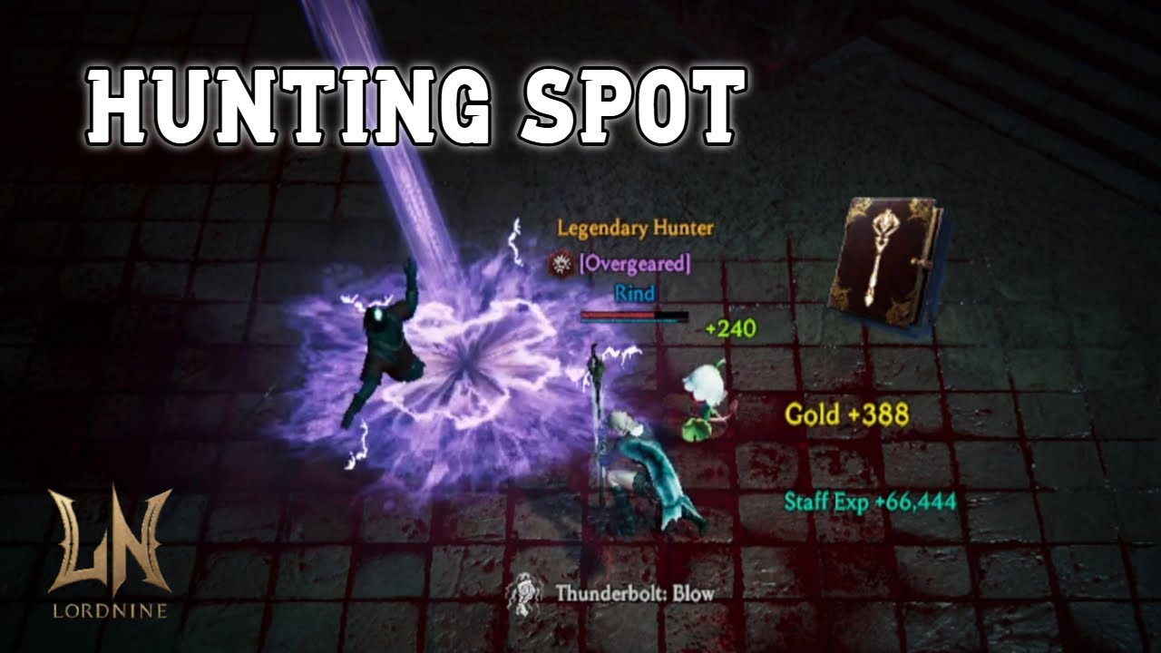 Best Hunting Spot & Leveling - LordNine