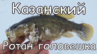 Казанский Ротан-Головешка by Shus Fishing 2,288 views 1 year ago 13 minutes, 3 seconds