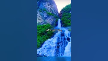 واتس اب قران كريم القارئ ياسر الدوسري (سوره الممتحنة)