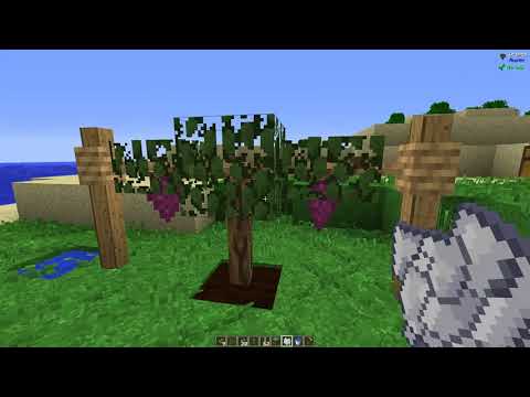 Die Schönheit der Natur - Rustic Samen Tutorial