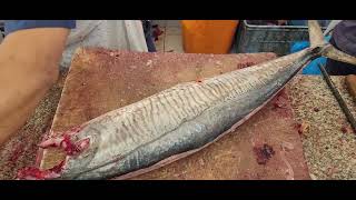 Biggest Fish Fillet Secrete।। Fish Fillet Amazing Mastering Skills।। Fish Fillet Specialists in Oman