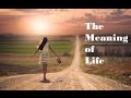 The Meaning of Life - In 13 Minutes