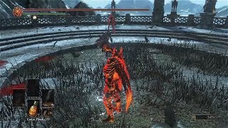 Dark Souls 3 Dishonorable Invader