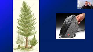 Jon Drori talk on Around the World in 80 Trees Jan 2023