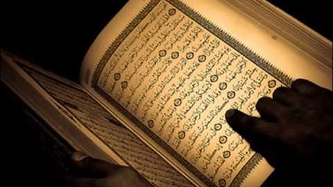 القارئ الشيخ وائل محاميد // سورة الرحمن